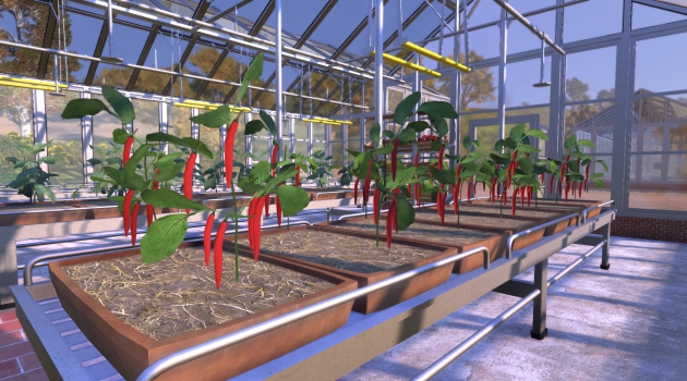 Farmers Dynasty Game Free Download