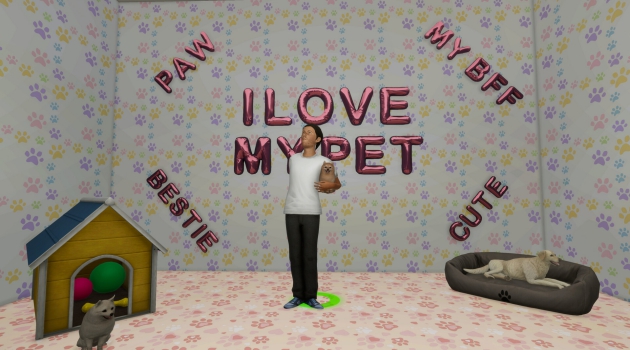 Photographer's Life Simulator Game Free Download